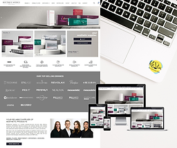 BS-Medical Supplies跨境外貿獨立站搭建