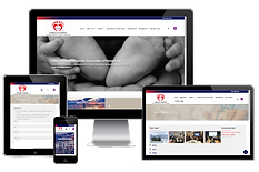 香港國際足病診療師學會網站開發及製作