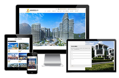 香港晨龍有限公司網站案例