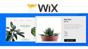 WIX SEO Setting 教學