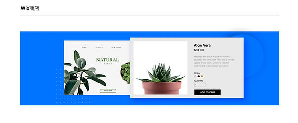 WIX SITE 的開發系統好嗎